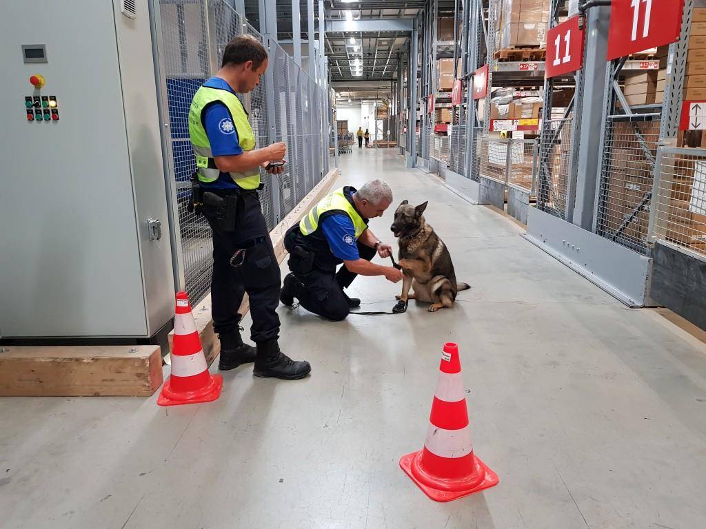 Dürfen Hunde Zu Ikea