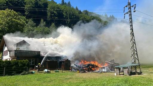 Über hundert Kaninchen und Vögel sterben bei Brand in Hindelbank BE