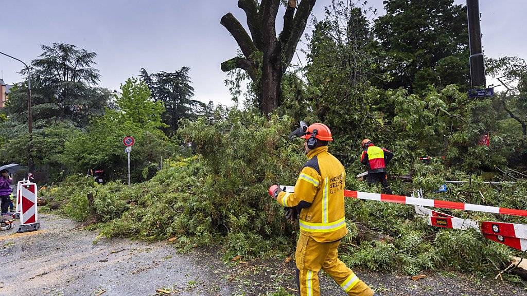 «Baumpflege» nach dem Gewittersturm vom Samstagnachmittag in Genf.