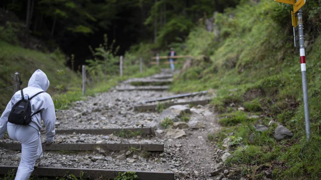 Wanderer in Laax GR von umstürzendem Baum mittelschwer verletzt