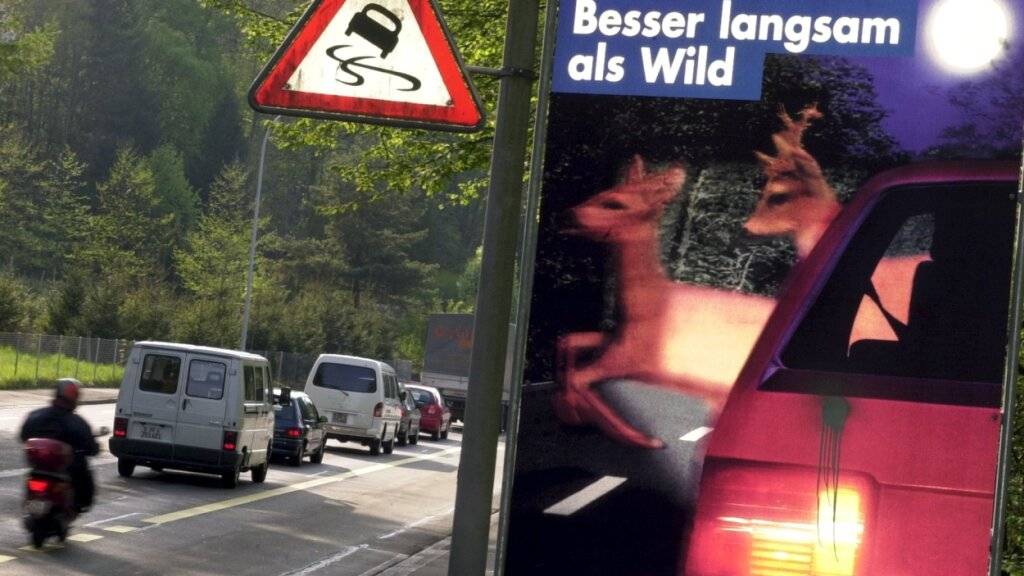 Die Stadtpolizei Zürich warb 2002 mit solchen Plakaten für Vorsicht beim Befahren der Birmensdorferstrasse. (Archivbild)