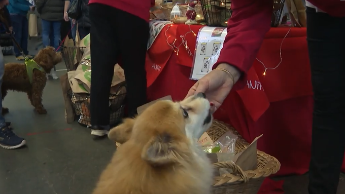 Leckerlis und Spielsachen: Das ist der grösste Hunde-Weihnachtsmarkt der Schweiz