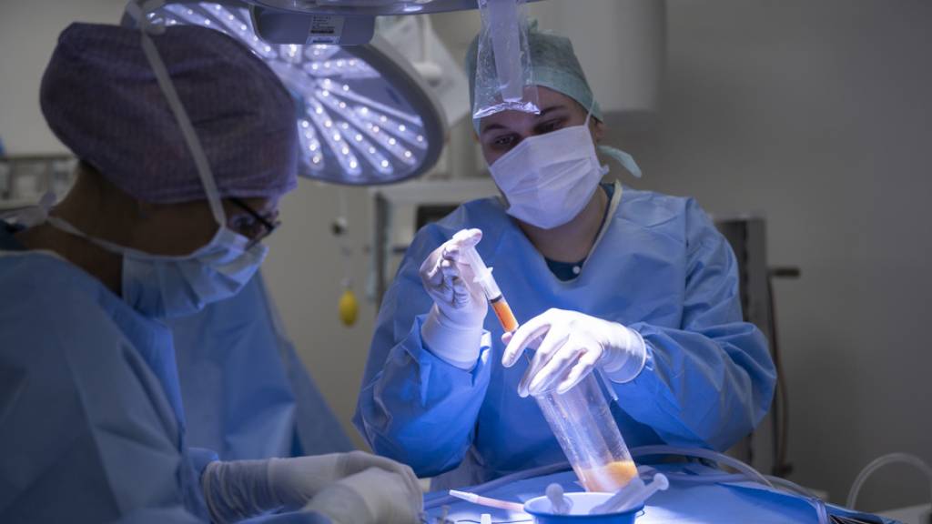 Eine Operationsassistentin verarbeitet Körperfett während einer Operation zur Entfernung von Brüsten. (Archivbild)