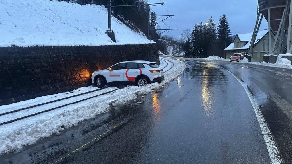 Rund anderthalb Stunden lang konnten die Appenzeller Bahnen wegen dieses Vorfalls die Unfallstelle nicht passieren.