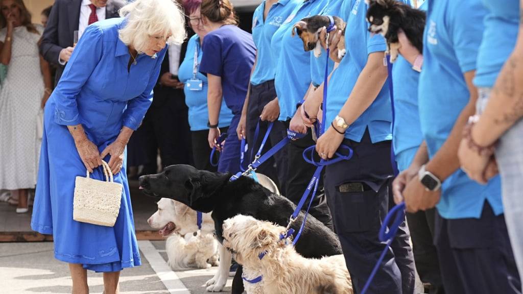 Auch für ihre Hundeliebe bekannt: Königin Camilla begrüsst Vierbeiner zur Eröffnung eines Hundegartens in Battersea, Südwest-London. (Archivbild)