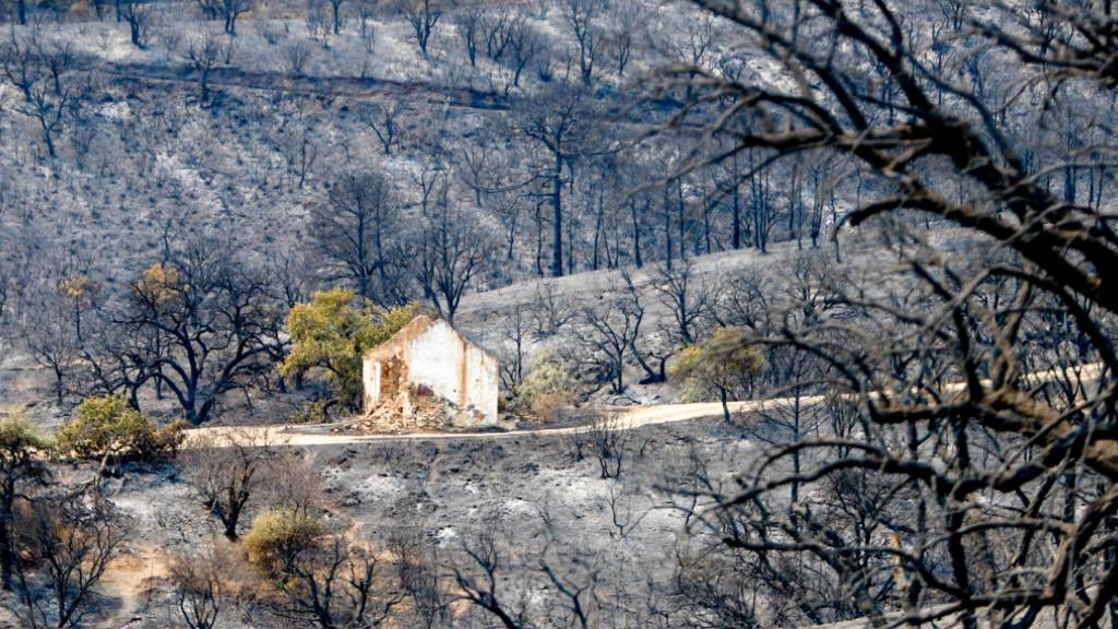 Heftiger Waldbrand im Süden Spaniens zerstörte bereits 6000 Hektar