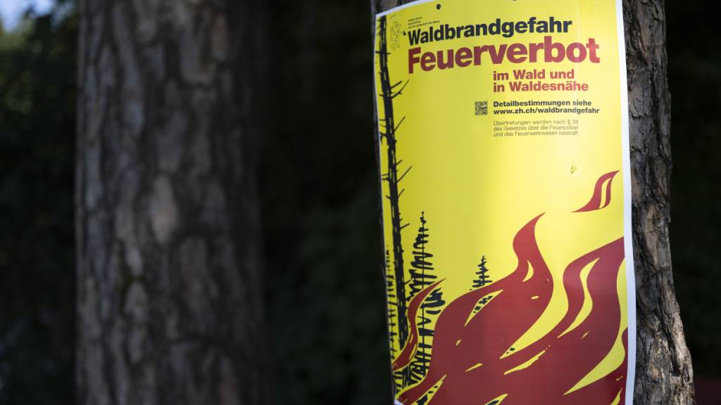 Kanton Schwyz hält Feuer- und Feuerwerksverbot aufrecht