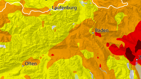 Pollenkalender Aargau 2 Birke