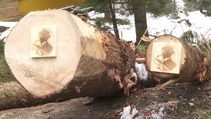Appenzeller Alpenbitter baut mit Holz aus eigenem Wald