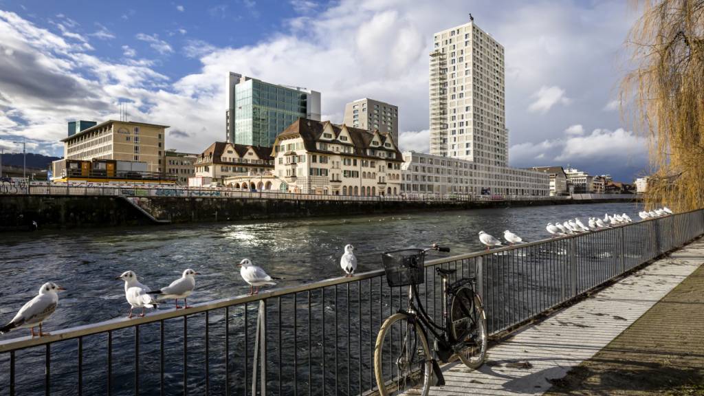Die Stadtzürcher SVP fordert mit einer Initiative 20 Prozent Alterswohnungen in städtischen Liegenschaften (im Bild die Siedlung Tramdepot Hard). Dem Gemeinderat ist diese Vorlage zu starr. (Archivbild)