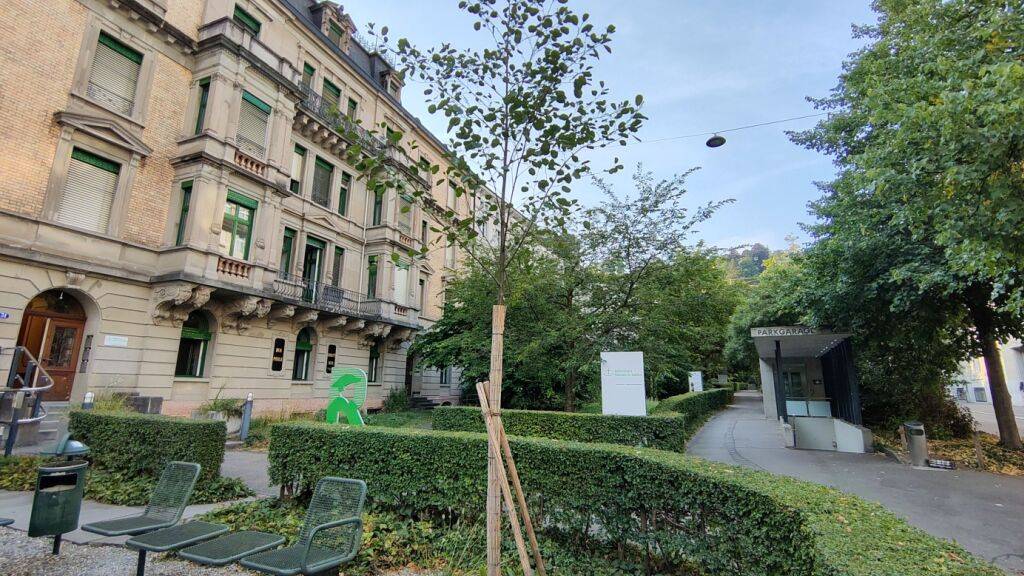 St. Gallen bezahlt Baumpflanzungen auf privaten Grundstücken