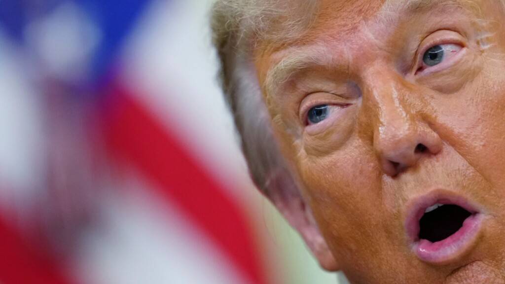 US-Präsident Donald Trump spricht im Oval Office des Weißen Hauses. Foto: Julia Demaree Nikhinson/AP/dpa