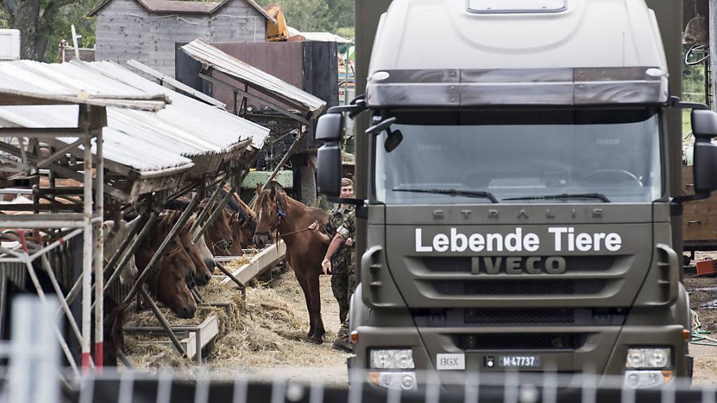 Am 8. August 2017 transportierte die Armee die Pferde vom Hof in Hefenhofen ab. (Archivbild)