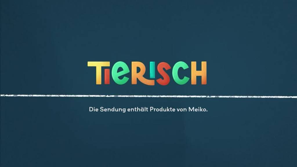 Früherkennung Pferde-Lahmheit / Hunde spenden Blut