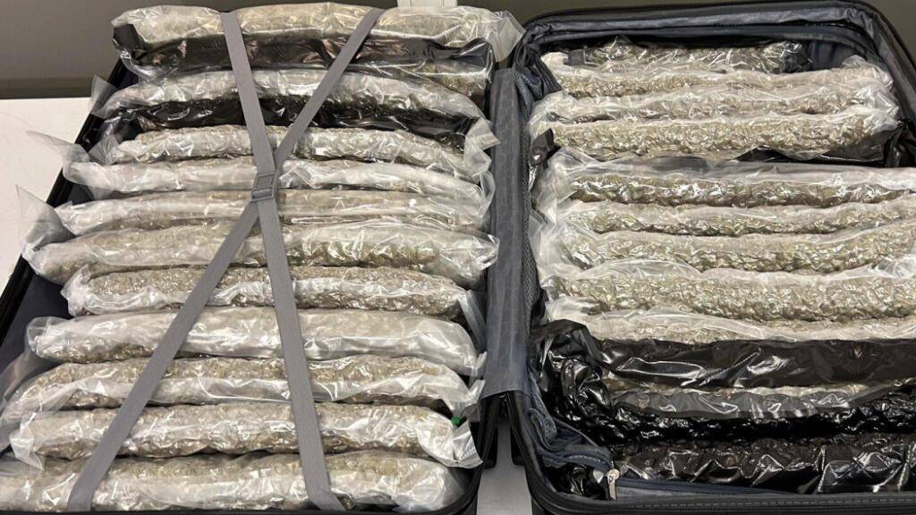 Zöllner stossen am Flughafen Zürich auf 160 Kilogramm Marihuana