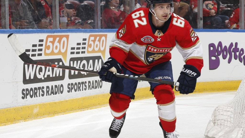 Neuer NHL-Vertrag für die kommende Saison: Denis Malgin bleibt den Florida Panthers treu