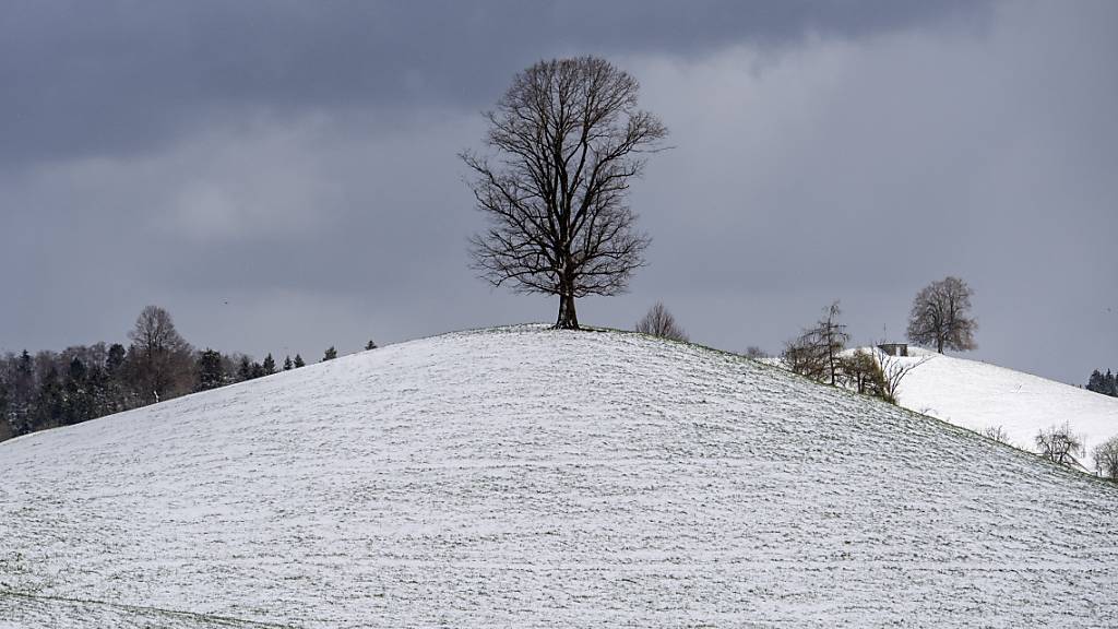 Eine Kaltfront bringt den Winter zurück: Überzuckerte Landschaft in Sattel SZ am Mittwoch.