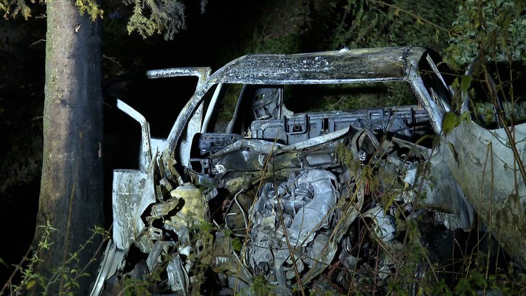 Auto prallt in Wohlen in Baum: Ersthelfer retten vier Insassen das Leben