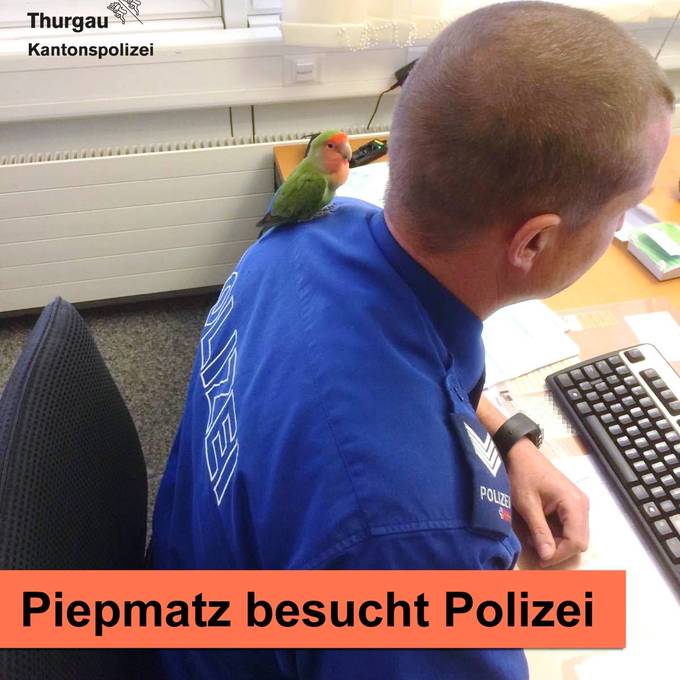 Papagei besucht Thurgauer Polizei