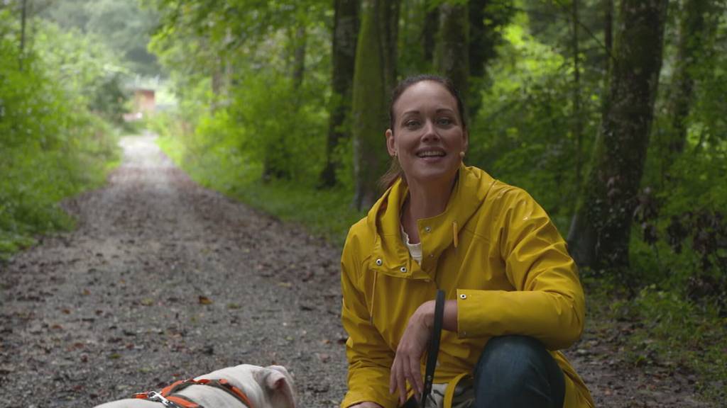 Vorschau «Tierisch»
