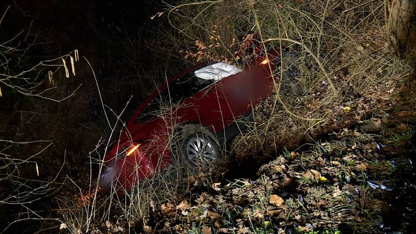 Thayngen: 18-Jähriger stürzt mit Tesla Abhang hinunter - Vier Verletzte