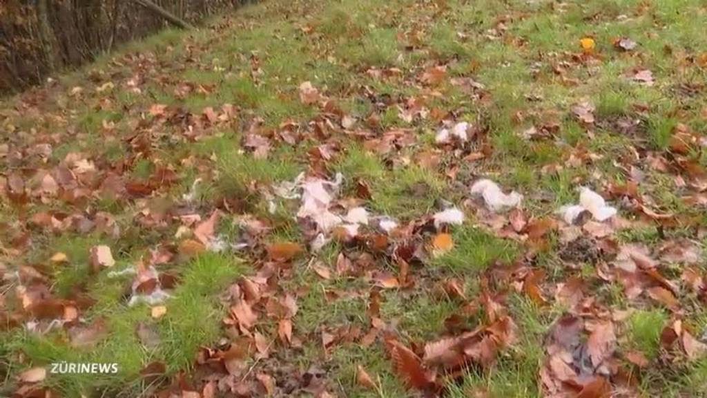 Niederweningen: 5 gerissene Schafe gefunden