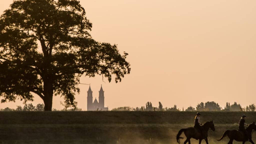 ARCHIV - Zwei Pferde laufen mit ihren Reitern am 13.08.2015 über ein Feld bei Klein Gübs (Sachsen-Anhalt), einem Ort bei Magdeburg, und wirbeln hinter sich Staub auf. Im Hintergrund zeichnet sich die Silhouette des Magdeburger Doms vor dem von der Abendsonne verfärbten Himmel ab. Foto: Lukas Schulze/dpa