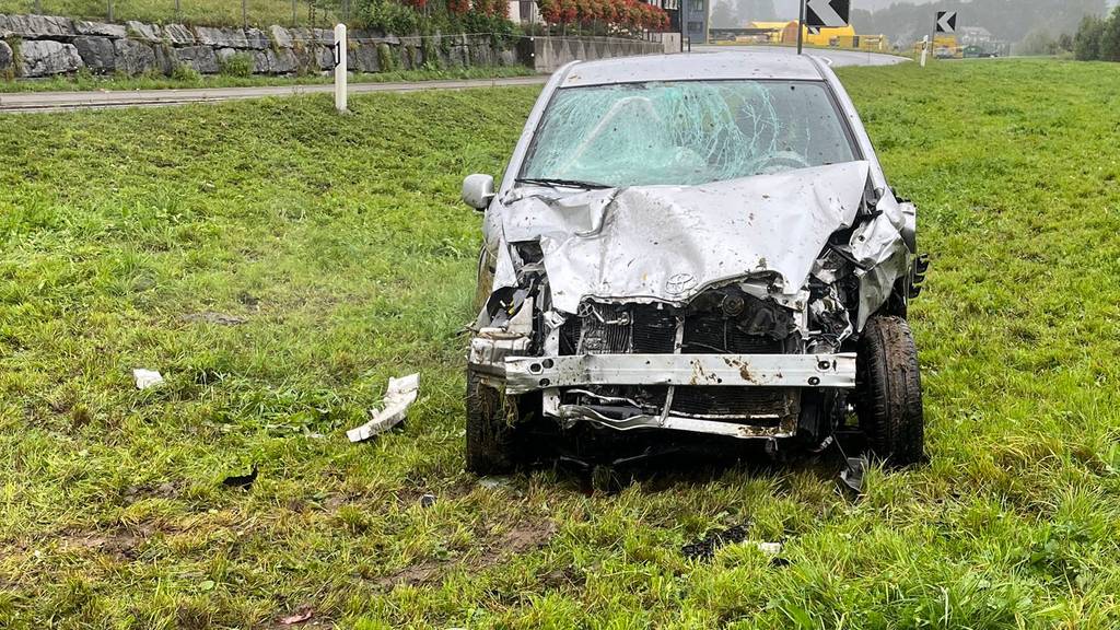 Zeugen gesucht: Auto fährt in Kuhherde und tötet zwei Tiere