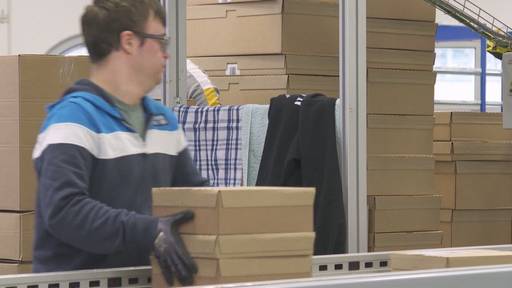 Integration in den Arbeitsmarkt
