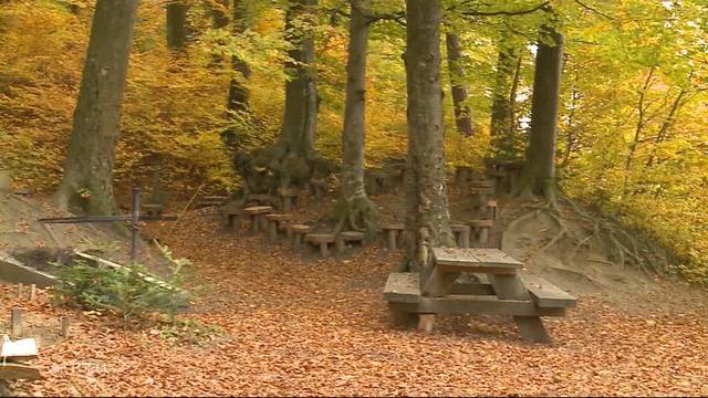 Flügerli-Spielplatz im Aargau soll verschwinden