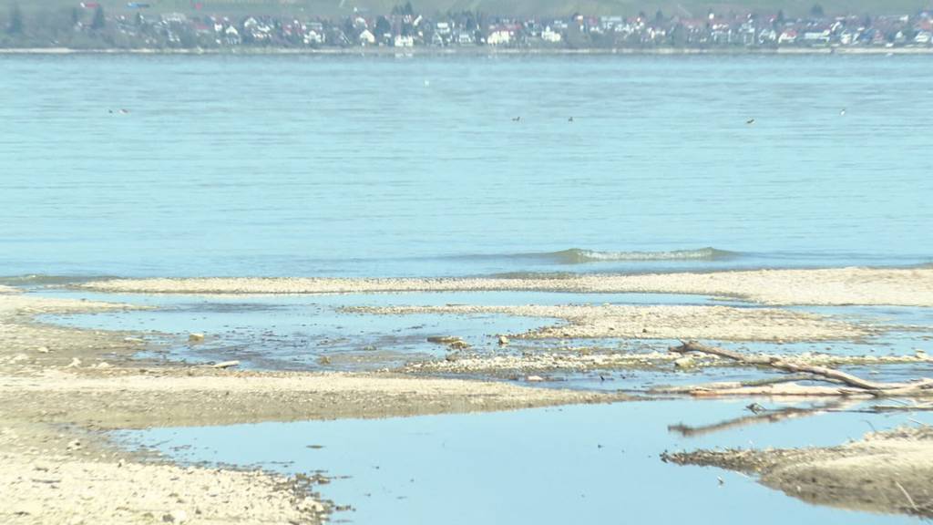 Bodenseepegel sinkt weiter – mit Folgen für Fischerei und Schifffahrt