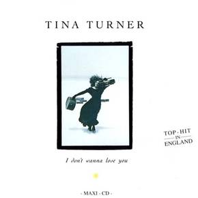 I DON'T WANNA LOSE YOU (1989)