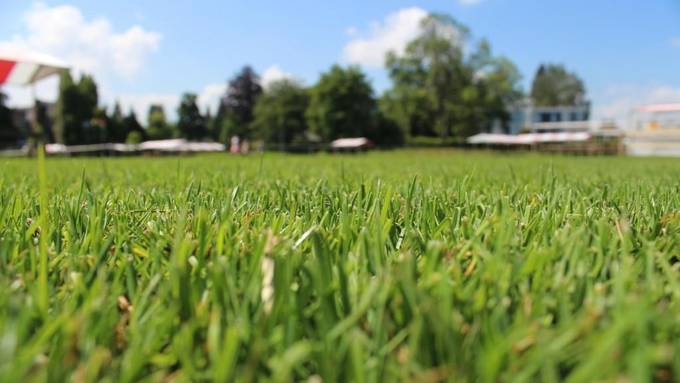 Die Wiese einen Tag vor dem Kinderfest