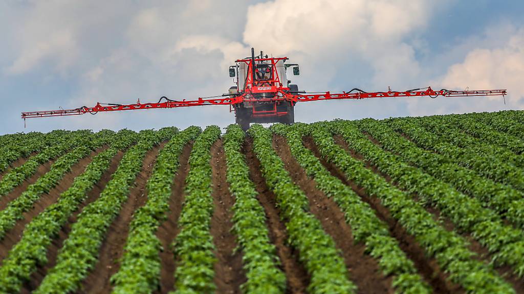 Pflanzenschutzmittel, die in der EU zugelassen wurden, sollen automatisch auch in der Schweiz eingesetzt werden können. Das fordert das Parlament. (Archivbild)