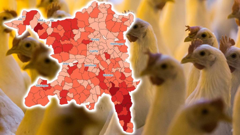 So viele Nutztiere leben in deiner Gemeinde!