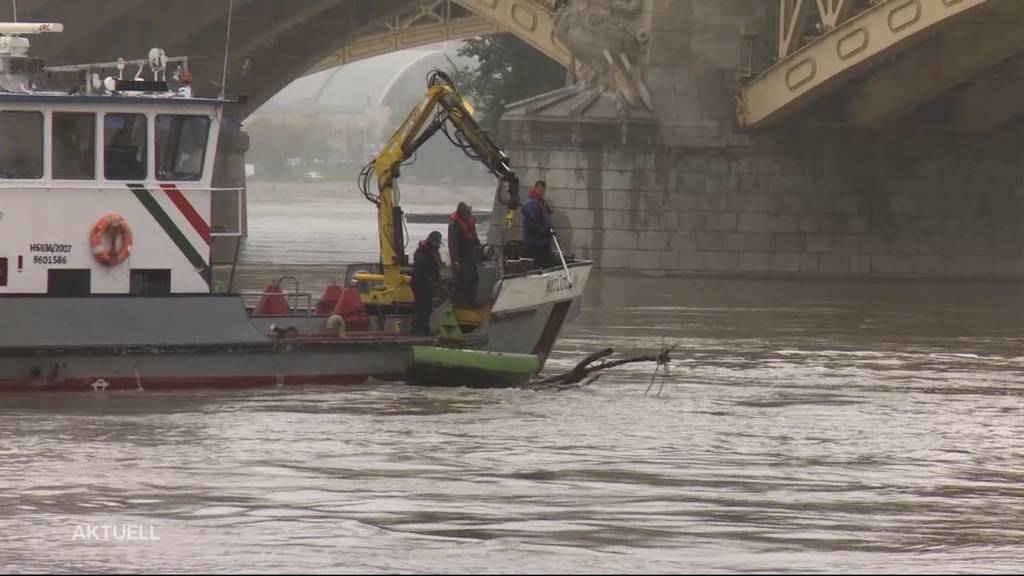 Donau-Drama: Mindestens 7 Tote nach Schiffskollision