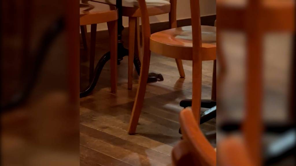 Maus flitzt quer durch Restaurant in Zürcher Altstadt