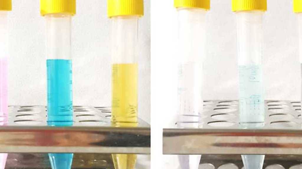 Simsalabim: Links durch Problemstoffe verunreinigtes Wasser, rechts nach der Behandlung mit Nanoparikeln. (zVg)