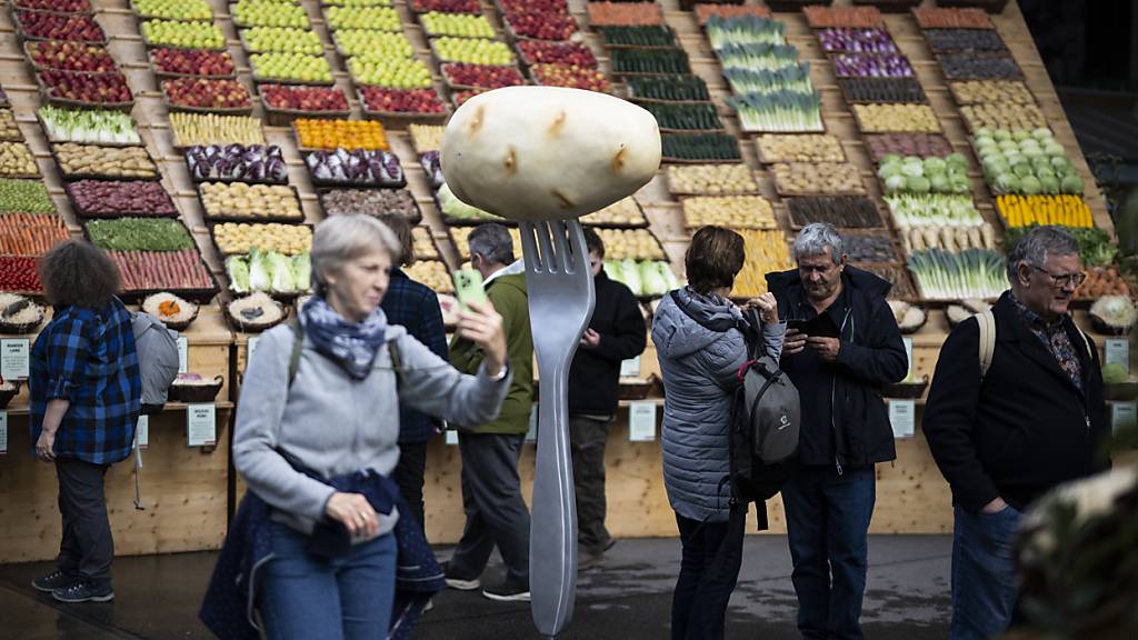 Ein wichtiges Thema der Messe war traditionsgemäss die Landwirtschaft.