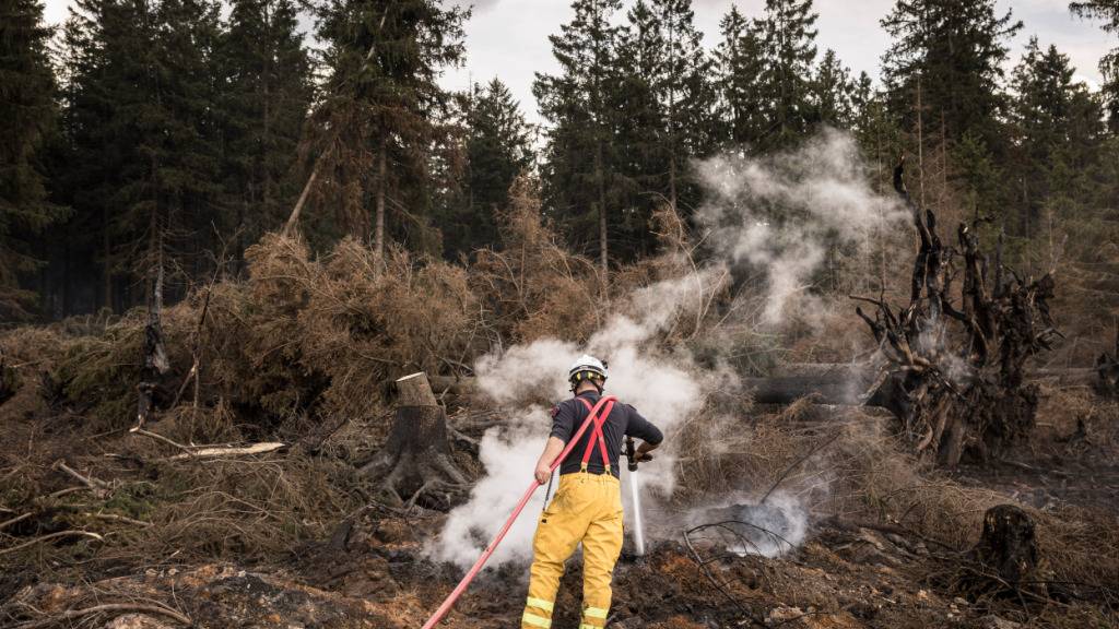 Feuer im Hohen Venn: Erster Verdacht zur Brandursache