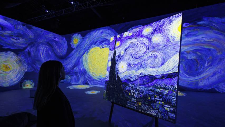 Vincent - Zwischen Wahn und Wunder