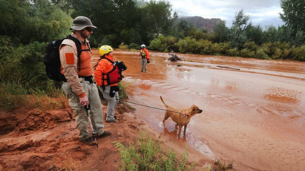 Mit Hunden suchen Helfer im US-Bundesstaat Utah nach Opfern der Überschwemmungen.
