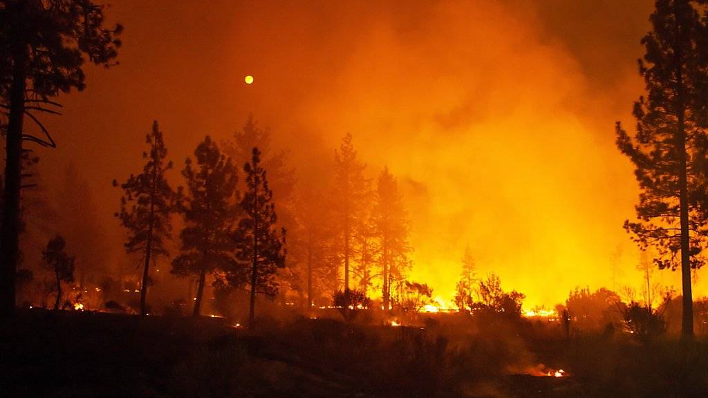 Brände vernichten 63'000 Hektar Wald und fordern sechs Tote in Kalifornien: Waldbrand bei Idyllwild.