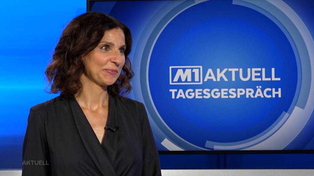 Die Aargauer SP-Nationalrätin Gabriela Suter über den Rück- und Ausblick im Jahr vor den Wahlen 