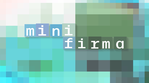 Mini Firma