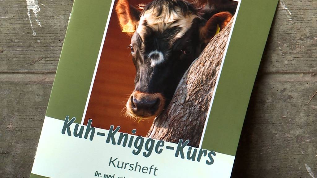 Kuh Knigge