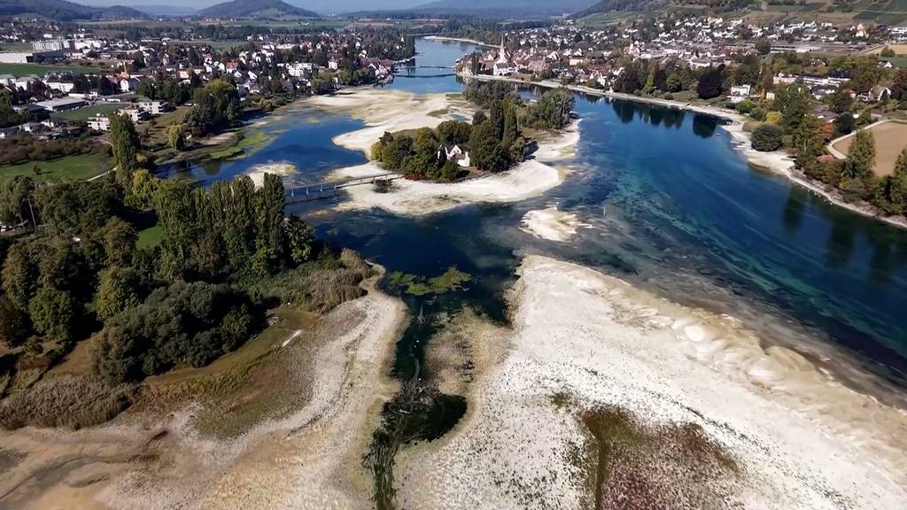 Historischer Pegeltiefstand: Die Insel Werd ist kaum mehr eine Insel