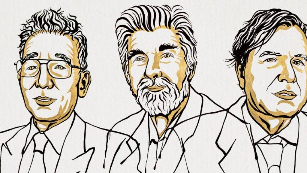 Der diesjährige Nobelpreis geht an die Forscher Syukuro Manabe, Klaus Hasselmann und Giorgio Parisi.