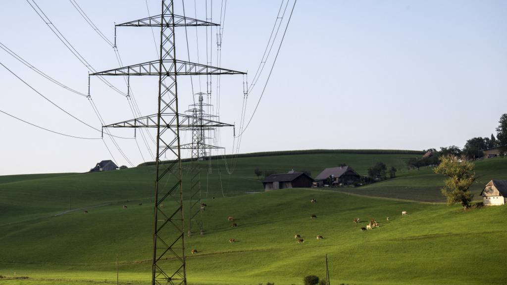 Der Bundesrat verzichtet auf den Freileitungs-Grundsatz: Stromleitungen in Pohlern BE. (Archivbild)