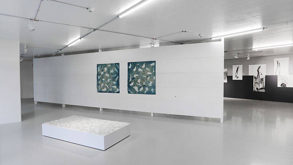 Die Ausstellungsräume der Kulturstiftung Basel H. Geiger an der Spitalstrasse in Basel wurden von den Architekten Christ & Gantenbein umgebaut.